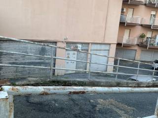 Zona