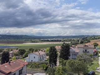 Vista