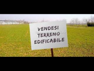 Zona