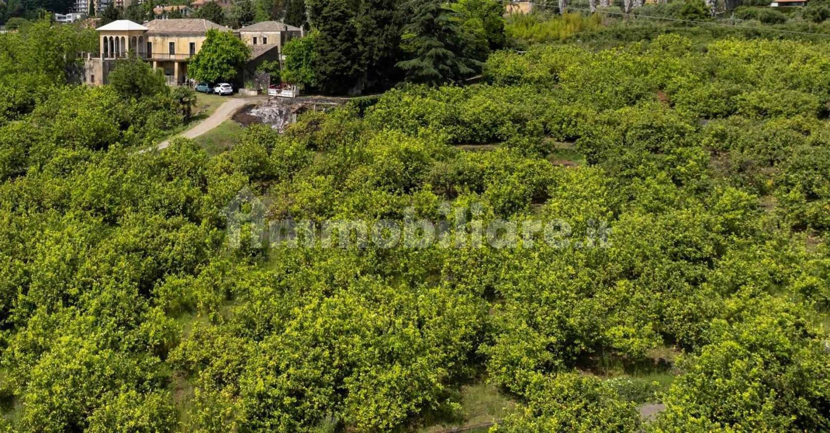 Rustico - Casale in vendita a Giarre