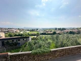 Vista