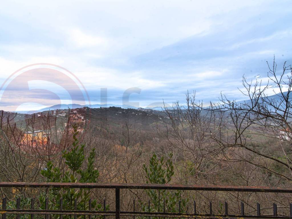 Vista