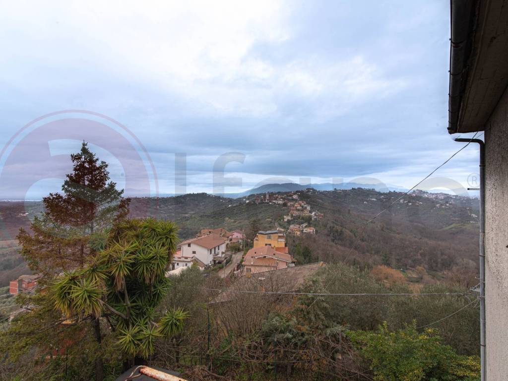 Vista