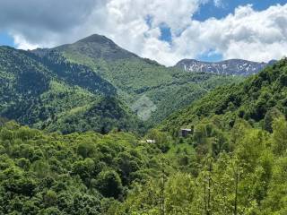 Vista