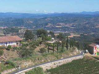 Zona