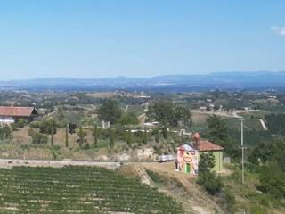 Zona