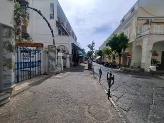 Zona