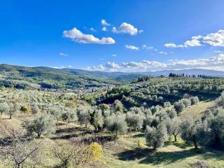 Vista
