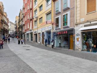 Zona