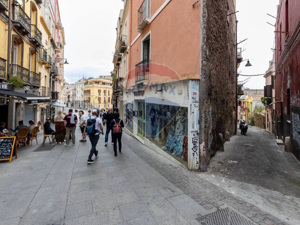 Zona