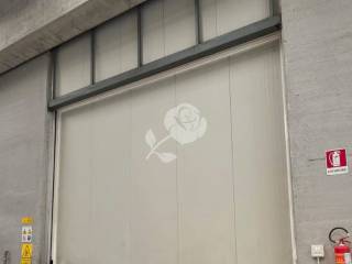 Ingresso