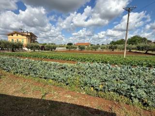Terreno