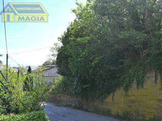 Zona