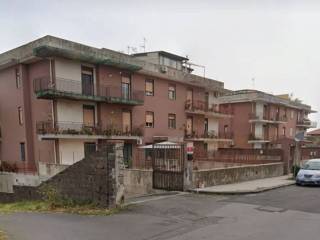 Zona