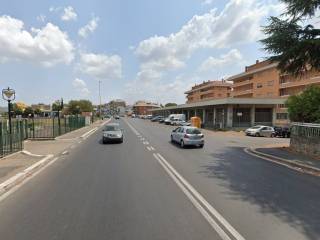 Zona