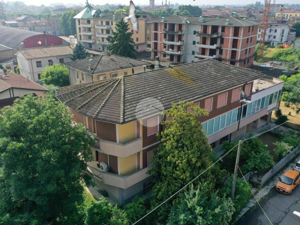 Vista
