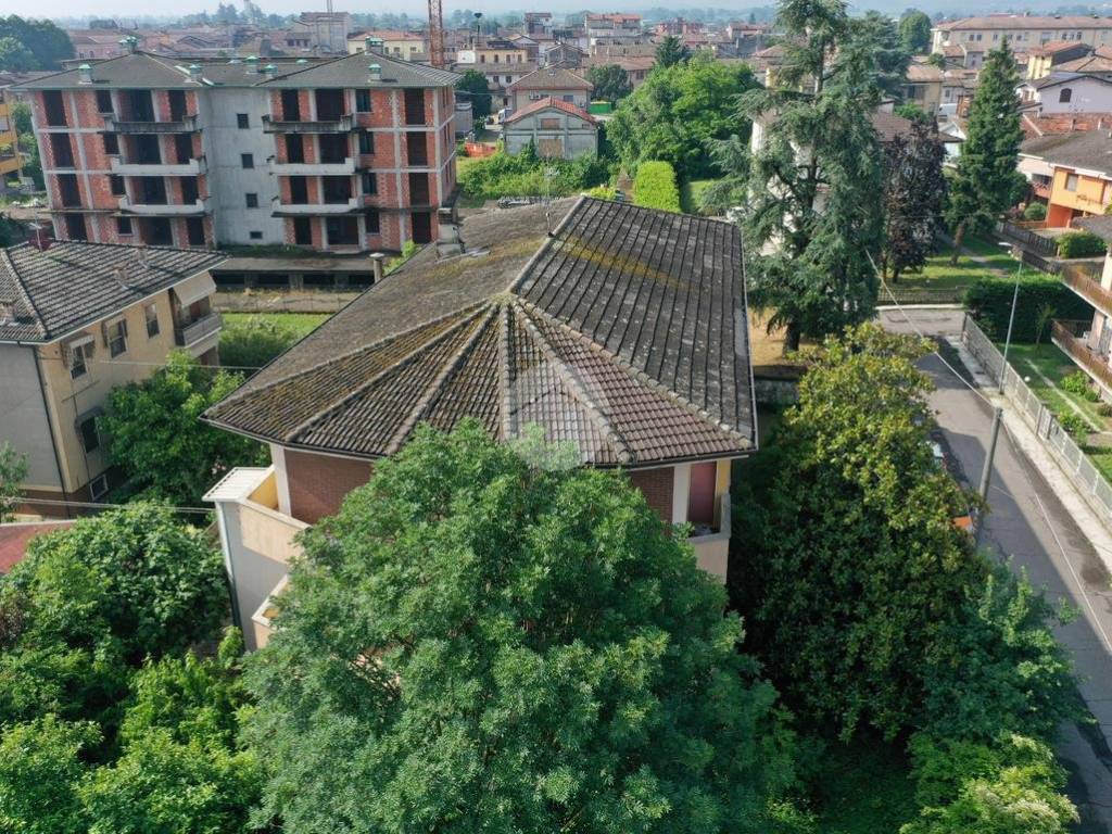 Vista