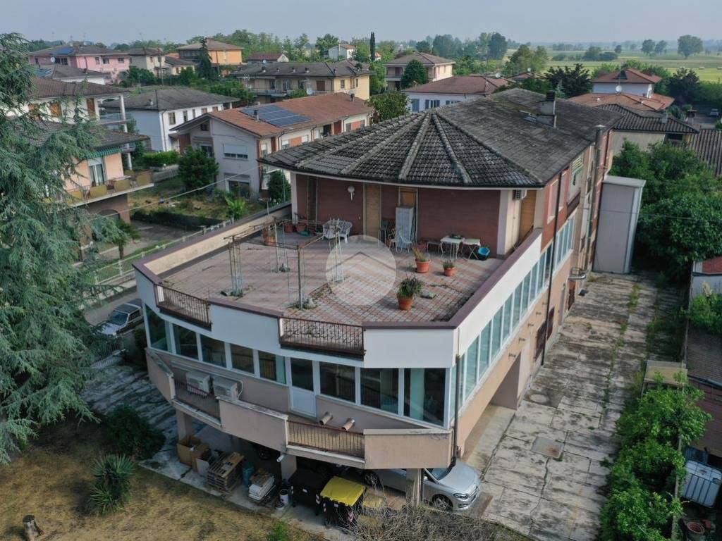 Vista