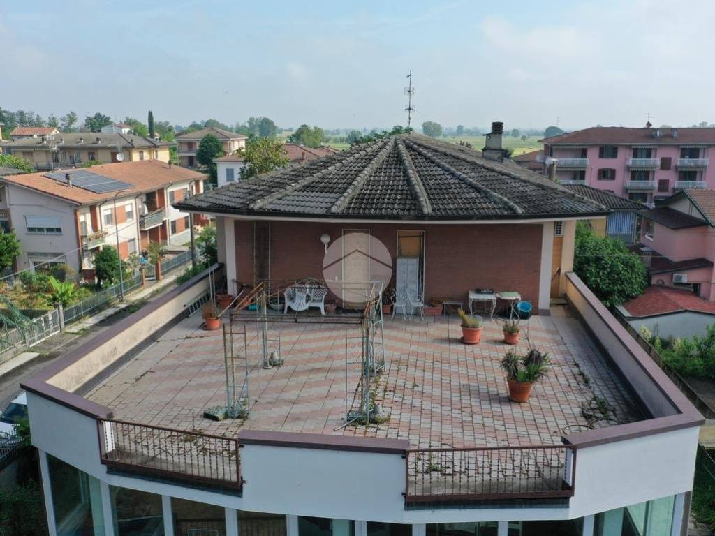 Vista