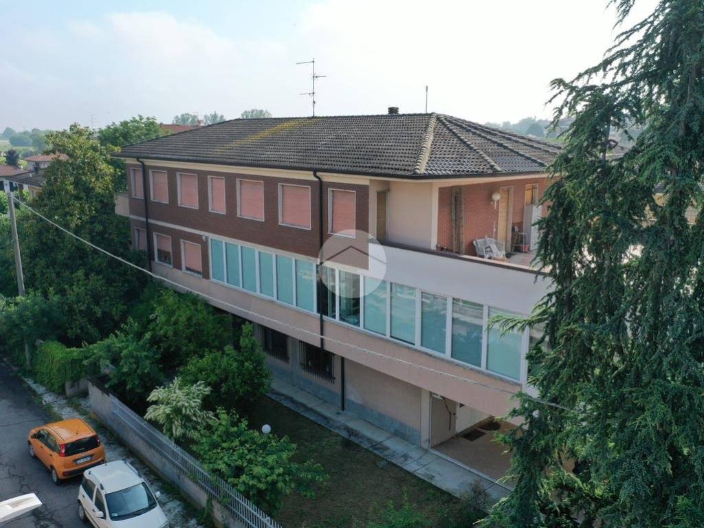 Vista