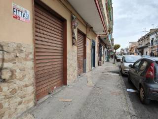 Zona