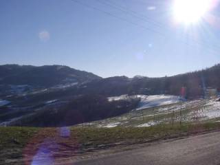 Zona
