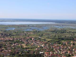 Vista