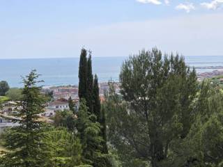 Vista