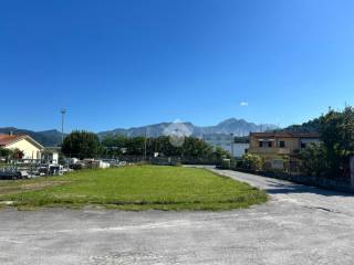 Zona