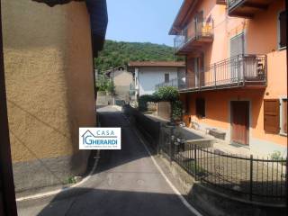 Zona