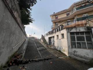 Zona
