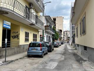 Zona