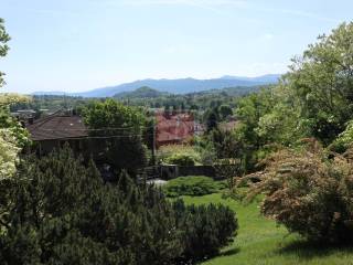 Vista