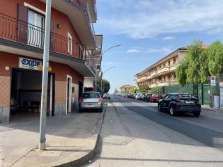 Zona