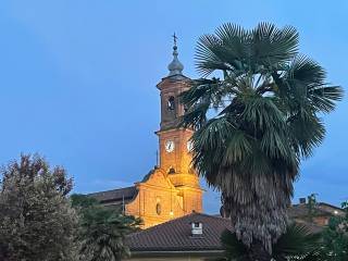 Zona