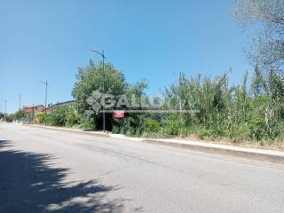 Zona