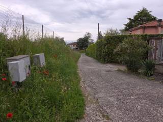 Zona