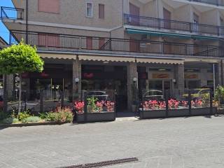 Zona