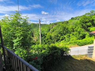 Vista