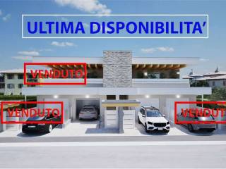 Zona
