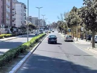 Zona