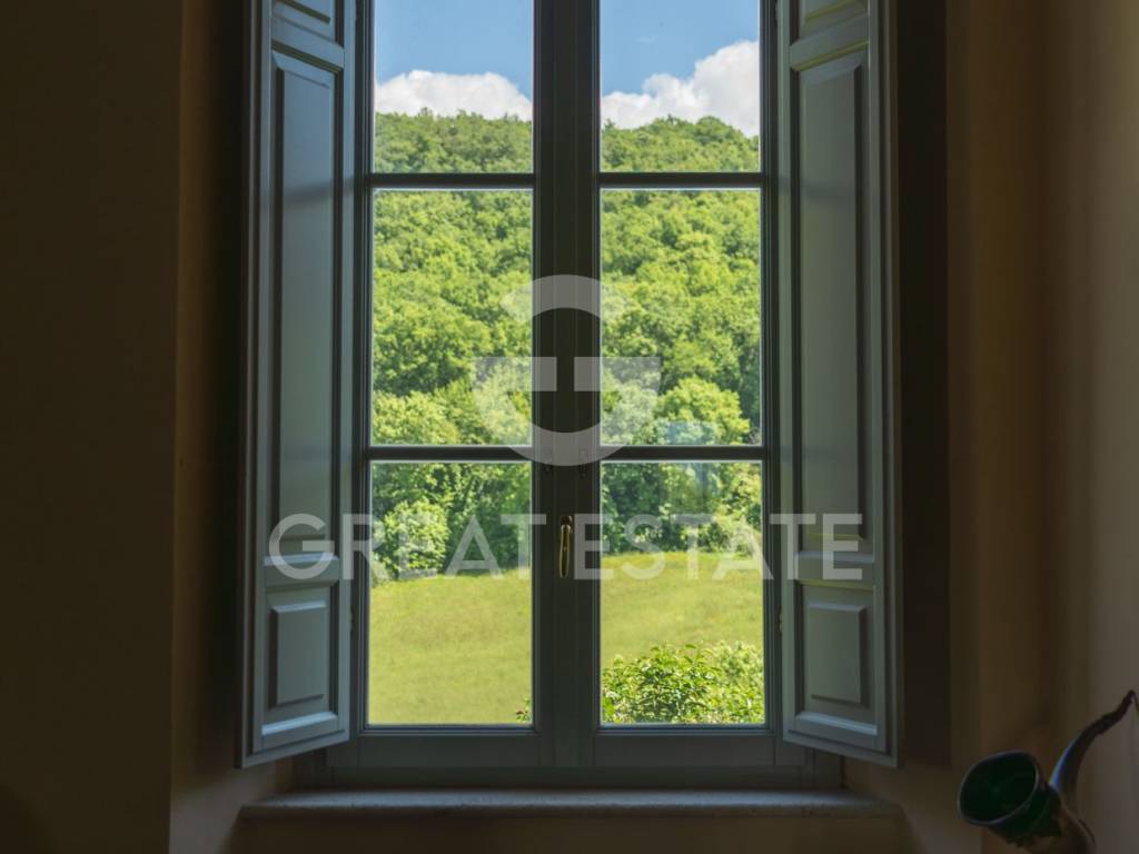 Vista