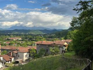 Vista
