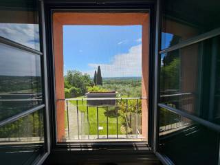 Vista
