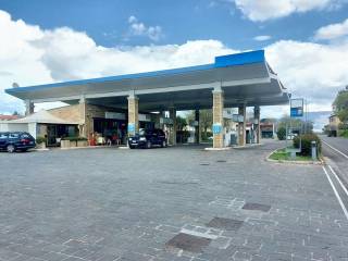Zona