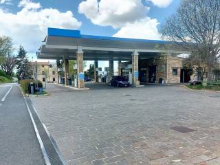 Zona