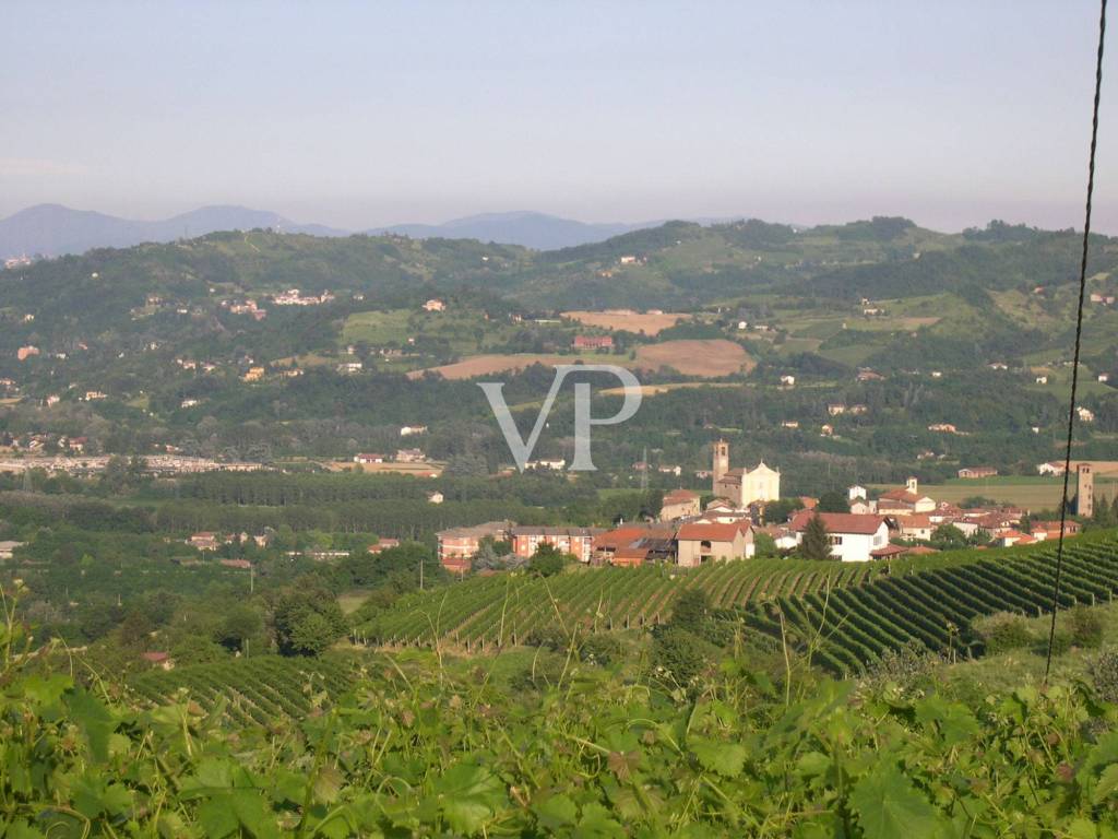 Vista