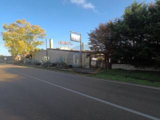 Zona