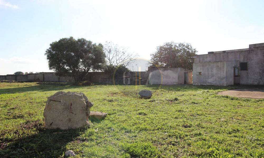 Terreno