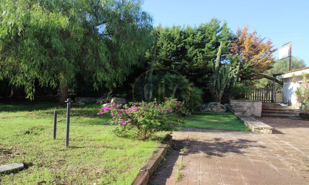 Giardino